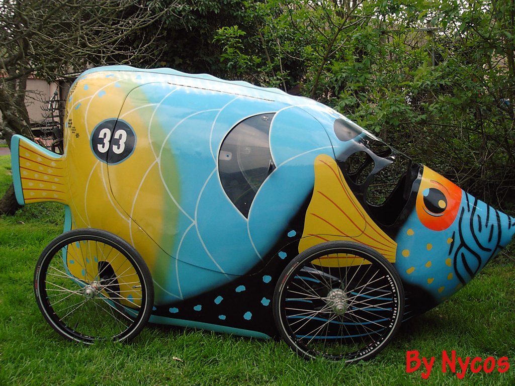Poisson 033.jpg